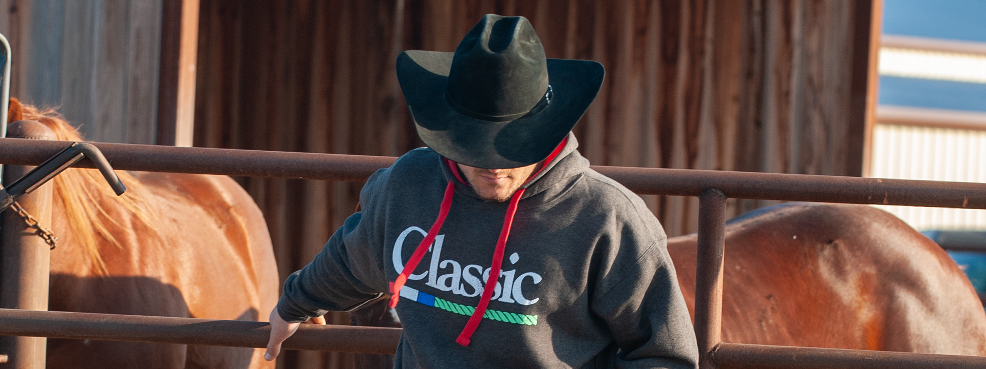 Train | Compete | Win